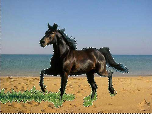 инструмент выделения изображения