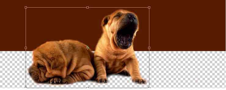 быстрая маска - трансформация